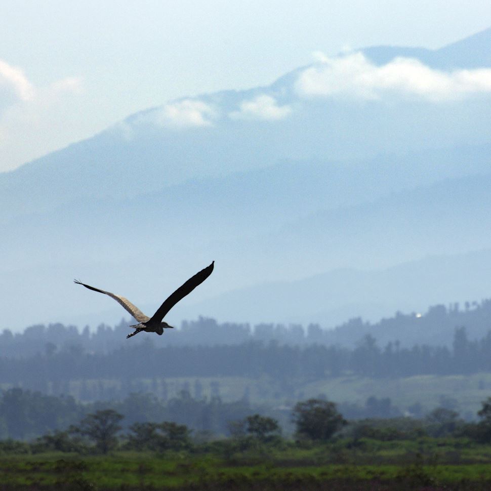 Group Jrw Welmond  ( Ex. Leogrand )